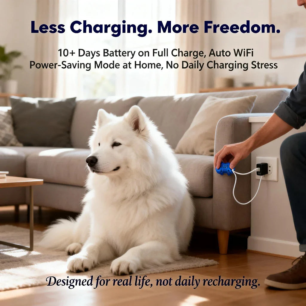 Pet Paws GPS Tracker