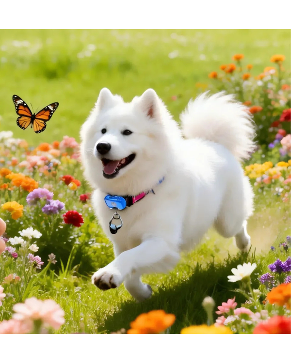 Untitled design (23).png